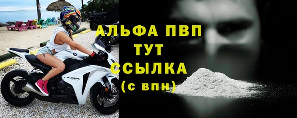 СК Новозыбков