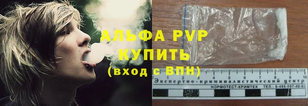 СК Новозыбков