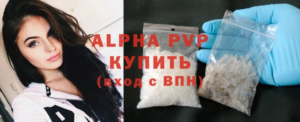 сатива Аркадак