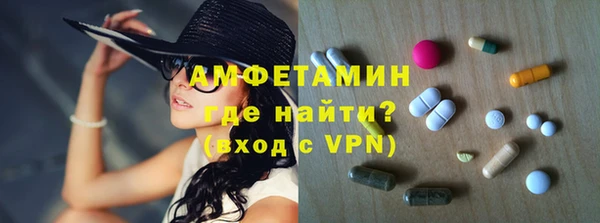 сатива Аркадак