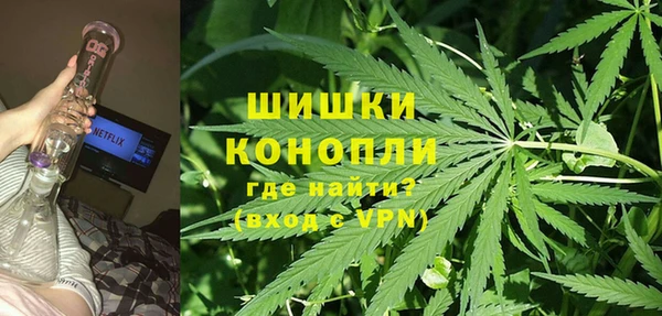 индика Арсеньев