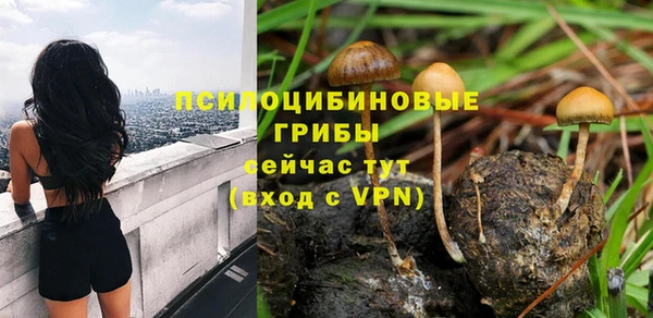 соль ск Армянск