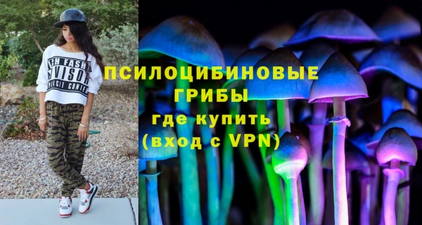 сатива Аркадак