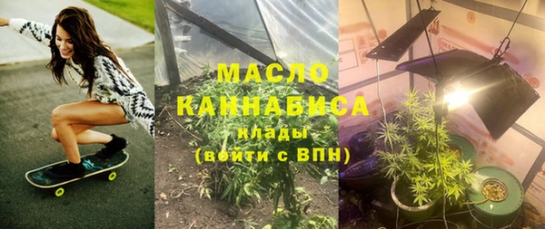 индика Арсеньев
