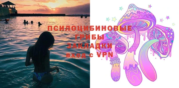 сатива Аркадак