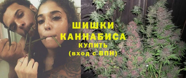 сатива Аркадак