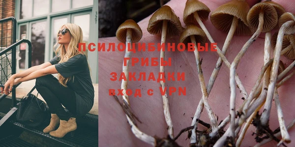 сатива Аркадак