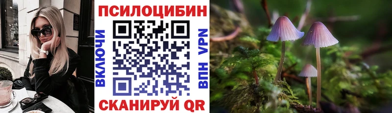 Галлюциногенные грибы прущие грибы  купить наркоту  Семикаракорск 